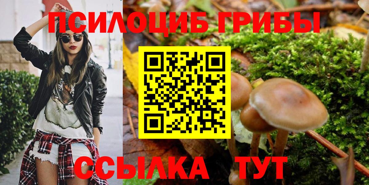 Луховицы  Галлюциногенные грибы Cubensis  Вход с VPN  Галлюциногенные грибы мицелий 